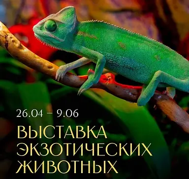 Выставка животных